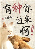 有种你爱我郑恺对女的说了什么